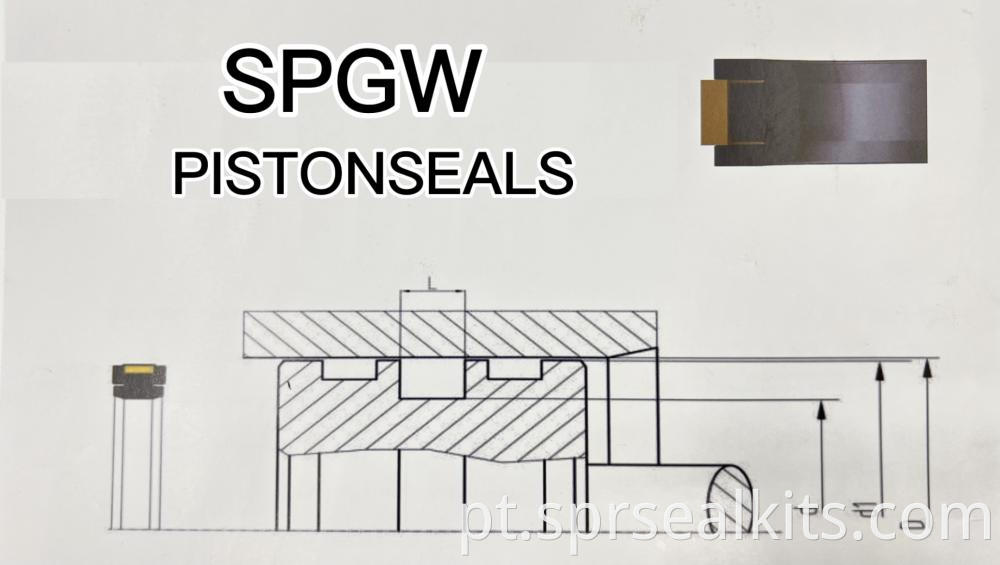 Special Seal For Spgw Piston Seal07